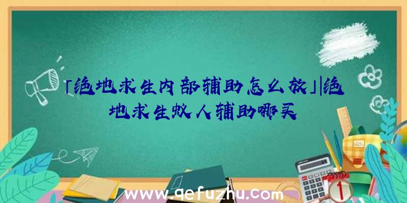 「绝地求生内部辅助怎么放」|绝地求生蚁人辅助哪买